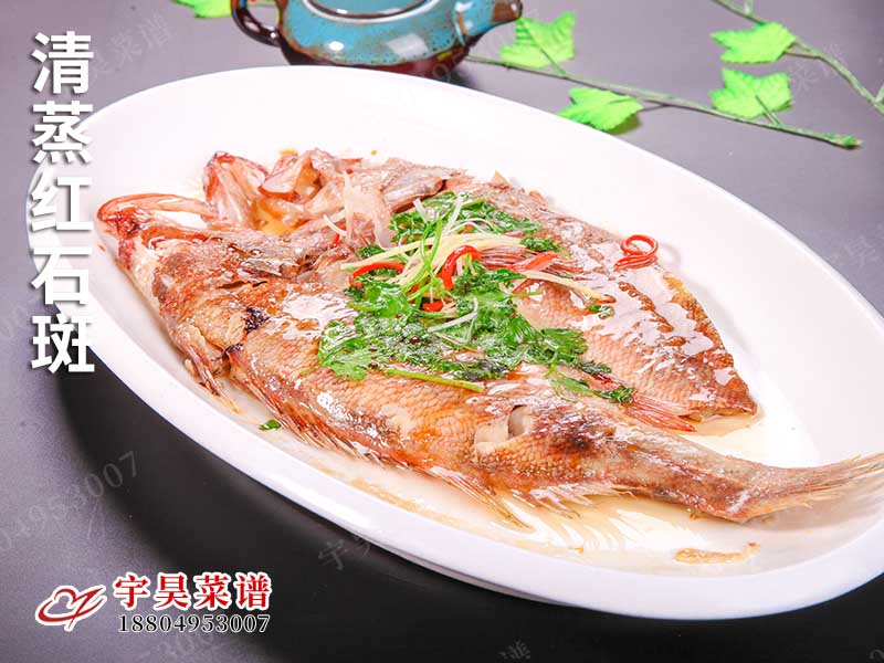 清蒸紅石斑